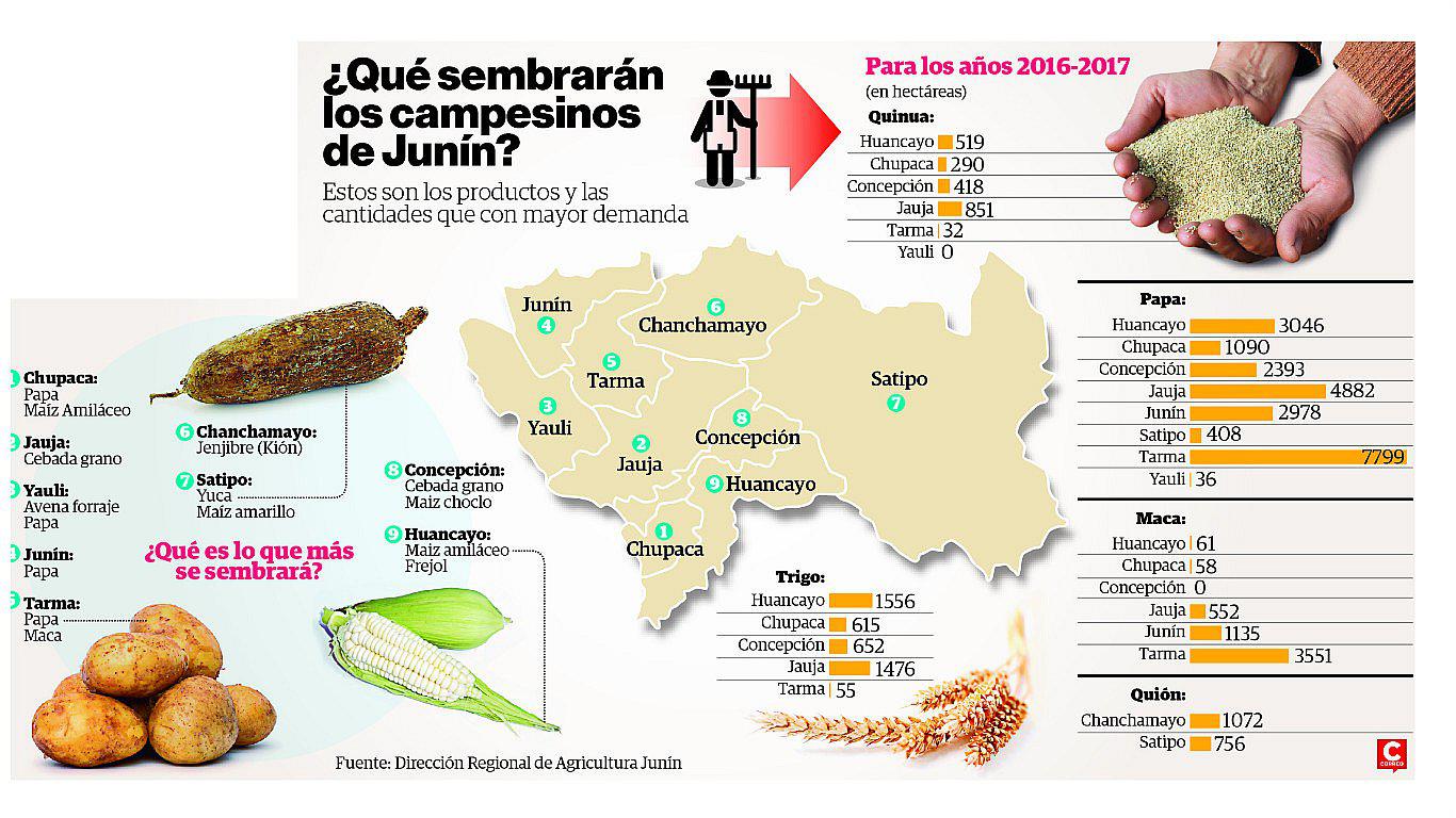 Estos son los dos productos que  sembraràn en mayor cantidad en Junìn