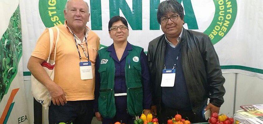 Productores liberteños de ajíes y rocoto participaron de Convención en Arequipa