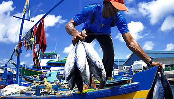 Produce trabaja cuotas para pesquerías artesanales 