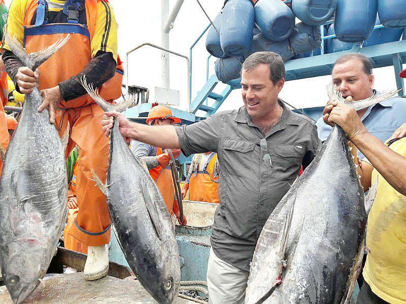 Desembarque de atún puede subir 80% para fines de año