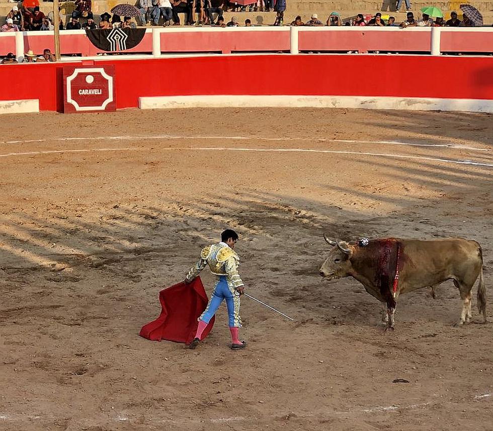 Corridas de toros en Festividad de la Virgen del Buen Paso de Caravelí (FOTOS)