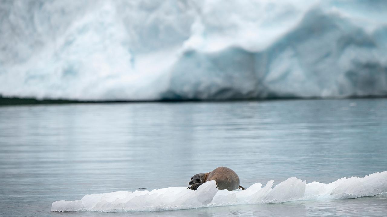 Científicos advierten que cambiar dieta alimentaria puede frenar el calentamiento global 