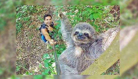 ​Facebook: ‘selfie’ de turista y oso perezoso se hace viral a nivel mundial