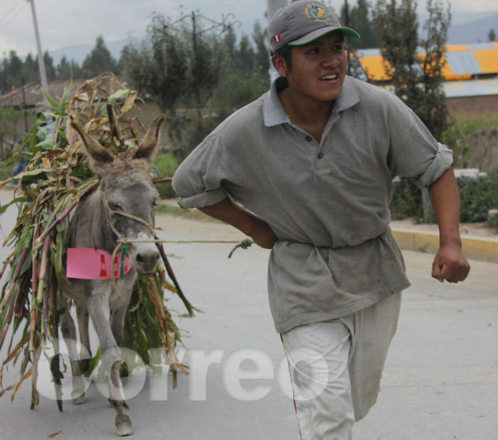 Vea la divertida carrera de burros de Semana Santa (Fotos)