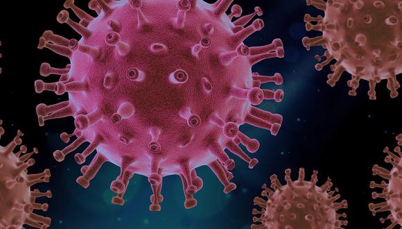 Los autores de la investigación señalan en la revista The New England Journal of Medicine, que este virus puede infectar múltiples órganos (Foto: Pixabay)