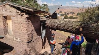 Árbol cae sobre cuatro casas en Huancavelica