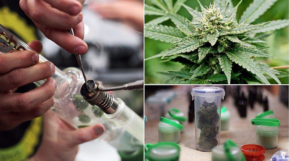 Ya puedes visitar la feria de marihuana más grande de Latinoamérica (VIDEO)