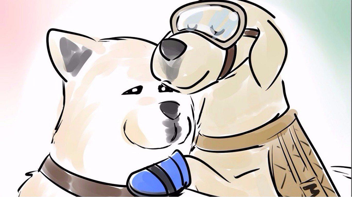 Twitter: Japón rinde homenaje a "Frida" en monumento a "Hachiko" 