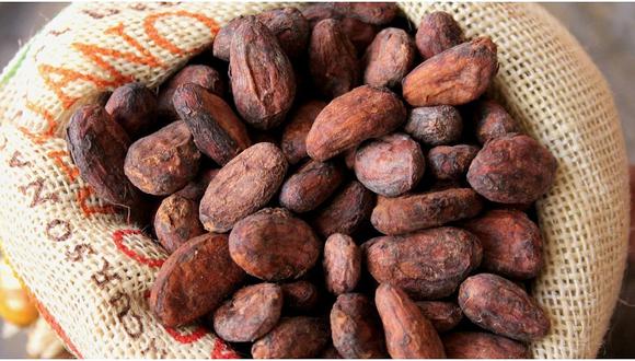 Productores de Huánuco exportaron 2 mil toneladas de cacao orgánico a Europa