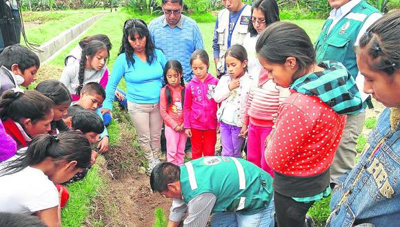 Reforestan  la ciudad de Huancayo  con plantones y flores  