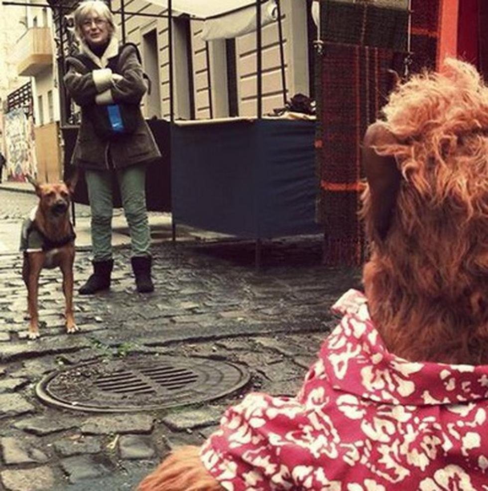 Argentina: Divertidas imágenes del recordado Alf