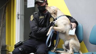 Policía demostró ser el dueño de mascota que permaneció por 3 días en exteriores de hospital Almenara