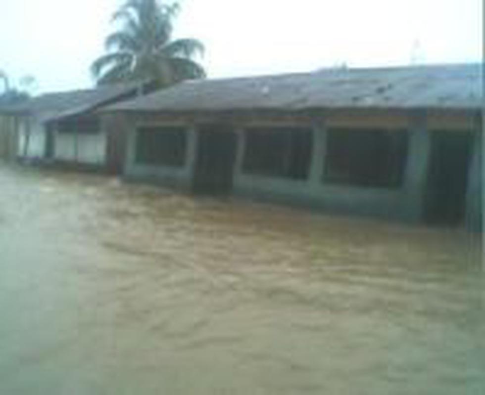 Ucayali: desborde del río San Alejandro afectó a 80 familias 