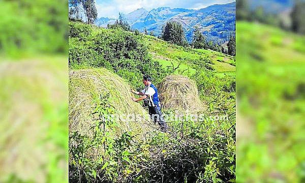 Áncash: Pobladores construyen chozas ancestrales para refugiar a sus paisanos 