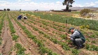 Comisión Agraria reitera a Fiscalía de la Nación investigar a exfuncionarios de Agro Rural