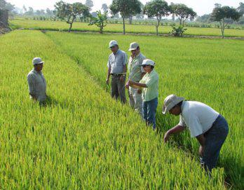 Millonaria inversión en proyecto