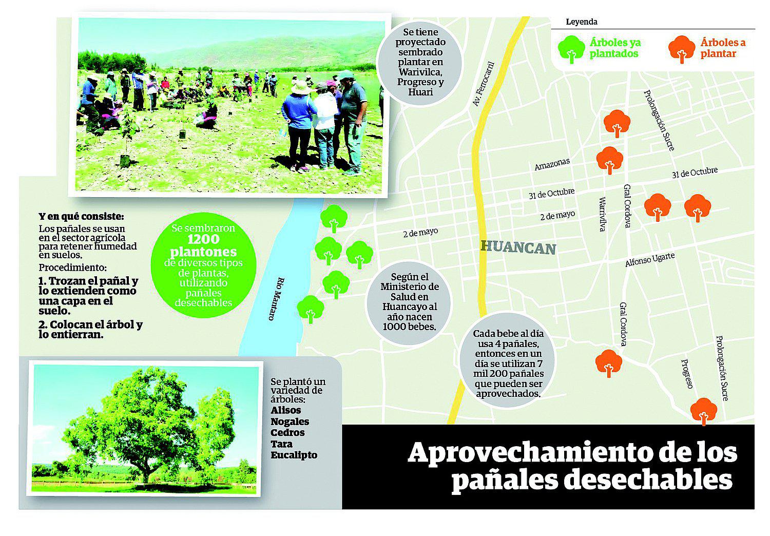 Pañales de bebés sirven como cuna para nuevas plantas 