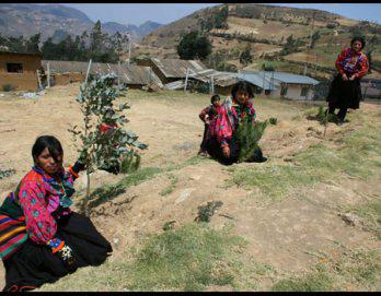 Escolares: "Cuidemos las plantas"