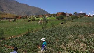 Alertan intento de apropiarse de predio de exbotadero de Marabamba en Huánuco