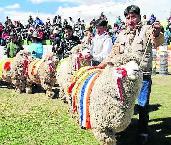 Puno: Melgar es la capital de la ganadería peruana