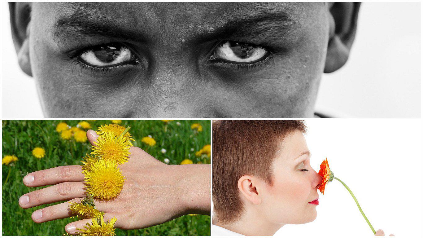 ¡Nos mintieron! No solo tenemos 5 sentidos