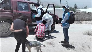 Rebrote de rabia canina en la Ciudad Blanca