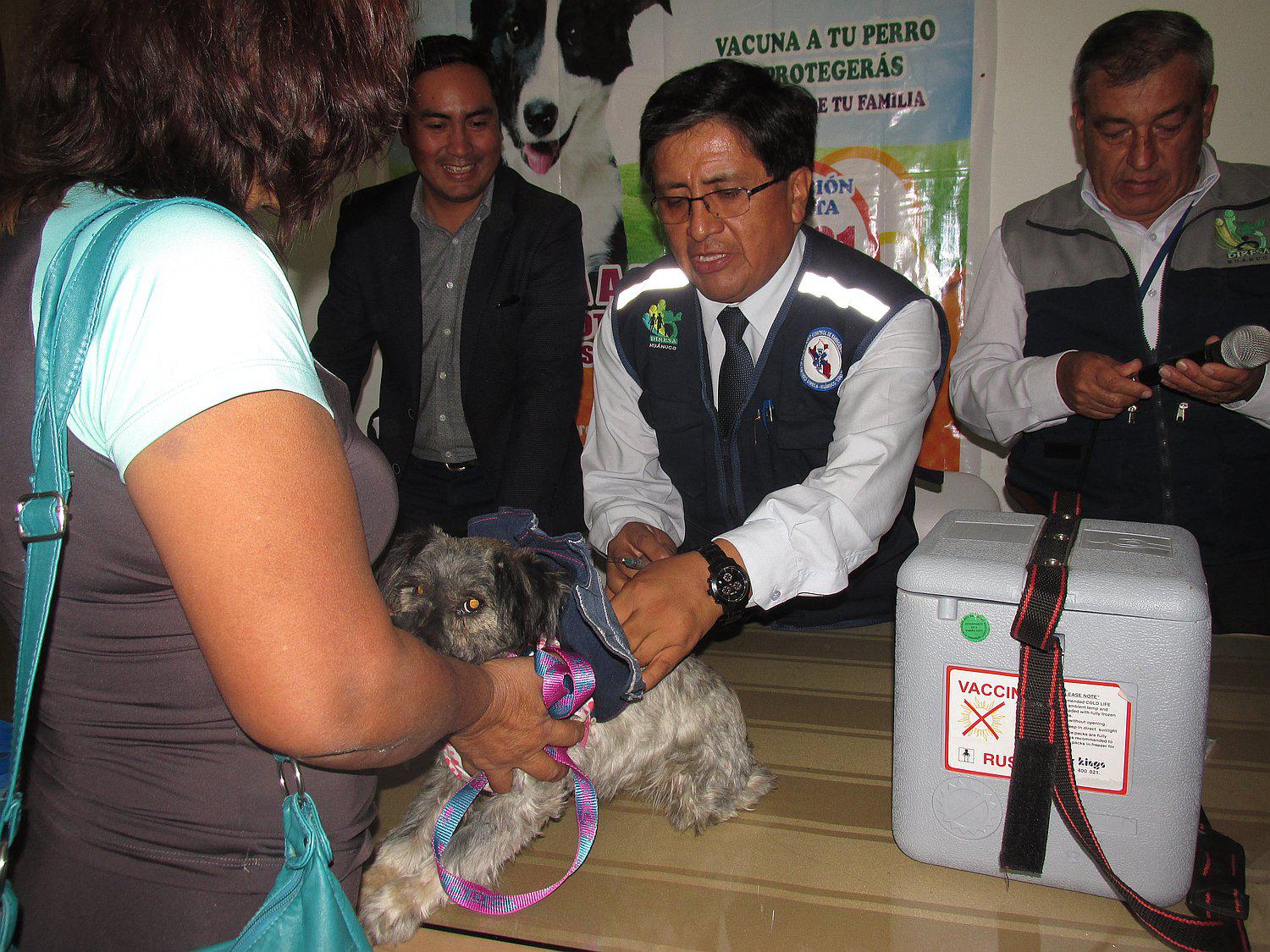 ​Más de 100 mil canes serán vacunados para evitar rabia en Huánuco