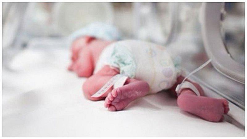 Recién nacido fue mordido por perros tras ser abandonado en chanchería (VIDEO)