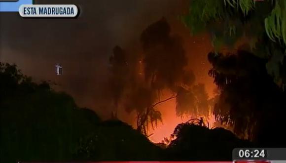 Chorrillos: ​Incendio forestal se registró en terreno de la Policía Nacional