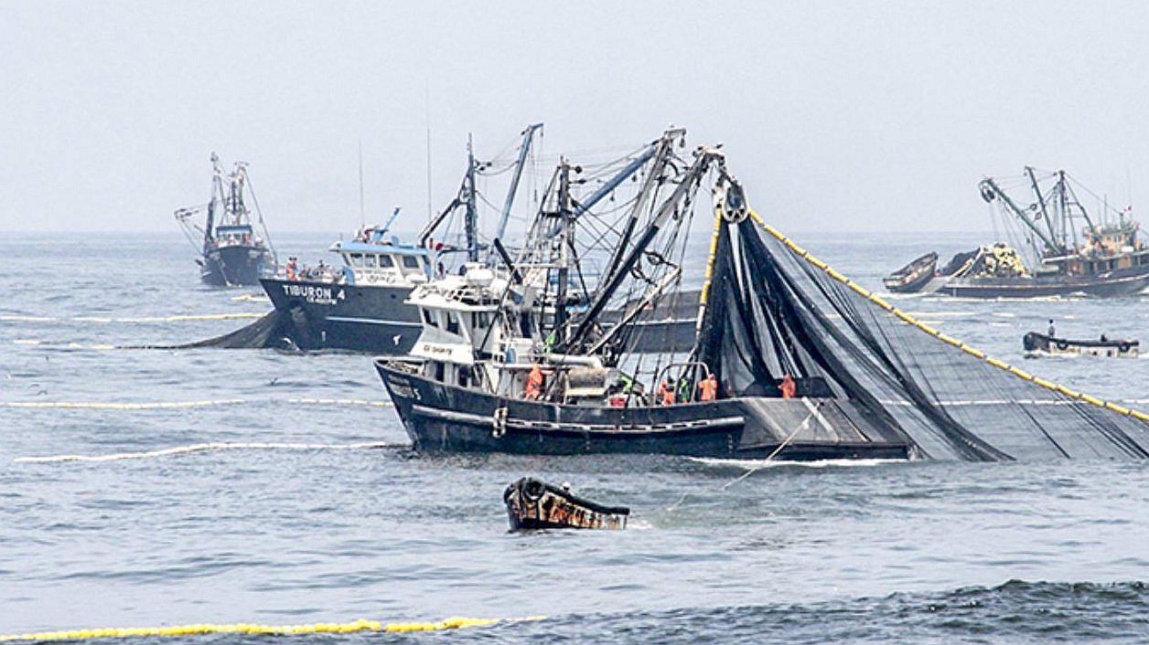 Armada chilena captura dos barcos pesqueros peruanos en zona económica exclusiva