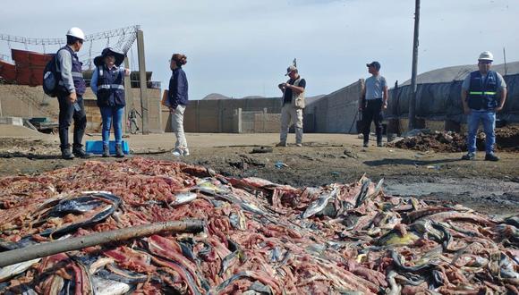 Autoridades encontraron 15,200 kilos de residuos de recurso hidrobiológico durante el operativo.