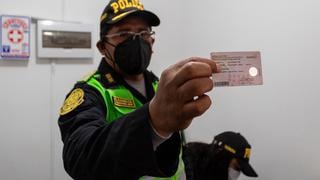 Por 350 soles falsificaban licencias,  tarjetas de propiedad y hasta documentos de migraciones (VIDEO)