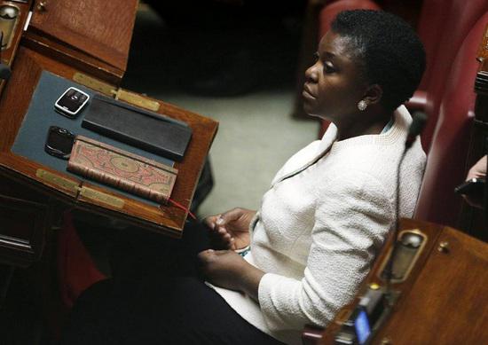 Italia: Senador compara a ministra africana con "orangután"