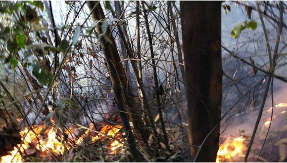 Incendio consume más de 30 hectáreas de bosques en Usquil 