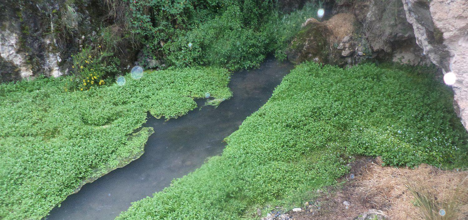 Pasco: Denuncian presunta contaminación del manantial Lloclla