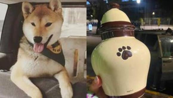 Mujer mexicana mostró su horror e indignación en redes sociales al recibir a su mascota en una urna para cenizas luego de confiarla a un entrenador . (Foto: @adriwarhol / Instagram)