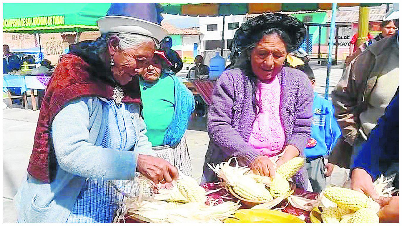 ​Con trenzado de maiz, celebran festividad en San Jerónimo de Tunán (VIDEO)