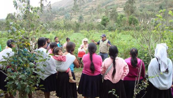 Agricultura elabora planes de negocios para ProCompite