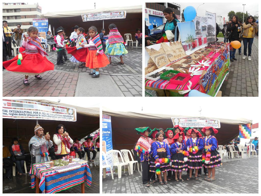 TACNA: Solo 53 colegios periféricos enseñan idioma aimara