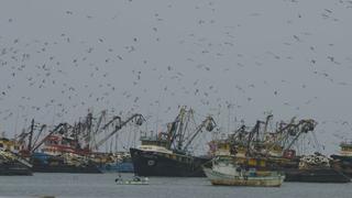 Oleajes de moderada intensidad obligan el cierre de 54 puertos de todo el litoral peruano