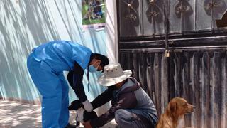 18,426 canes fueron vacunados contra la rabia en la región Arequipa