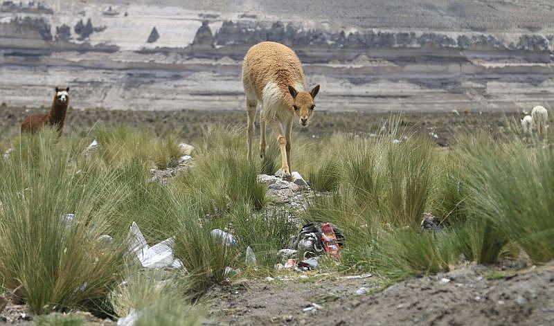 Emergencia en la Reserva Salinas y Aguada Blanca 