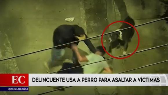 El perro mordía a las víctimas de robo mientras su dueño reducía su agraviado. Foto: América Noticias