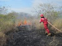 Incendio forestal amenazó con arrasar santuario del Señor de Huanca