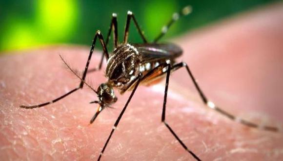 ​Alerta: EE.UU. registró el primer caso de zika por transmisión sexual 