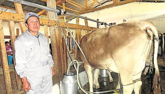 Ministerio de Agricultura confía en que el precio de la leche no se incremente