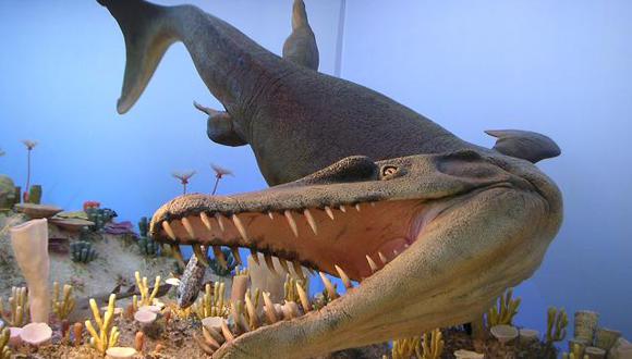 Reino Unido: Descubren el diente fosilizado de un cocodrilo prehistórico |  MUNDO | CORREO