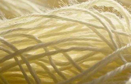 Suiza: Desarrollan fibras textiles a base de gelatina animal