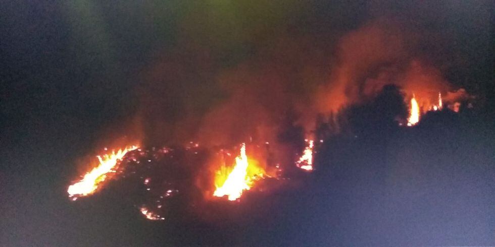 Incendio forestal se registró esta madrugada en Chaclacayo