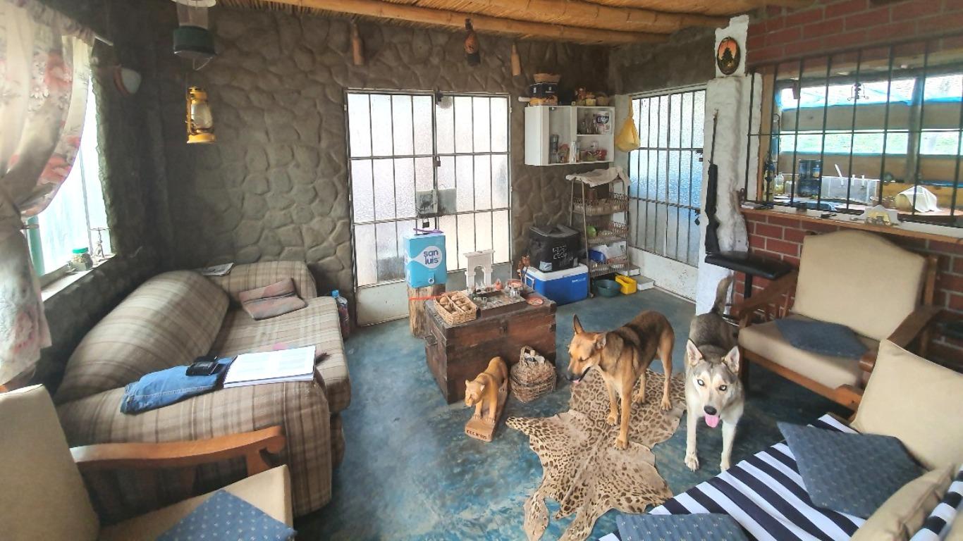 El interior de la modesta vivienda de 'Manolo'. En la imagen posan dos de sus fieles perros. Foto: Bryan Ortiz